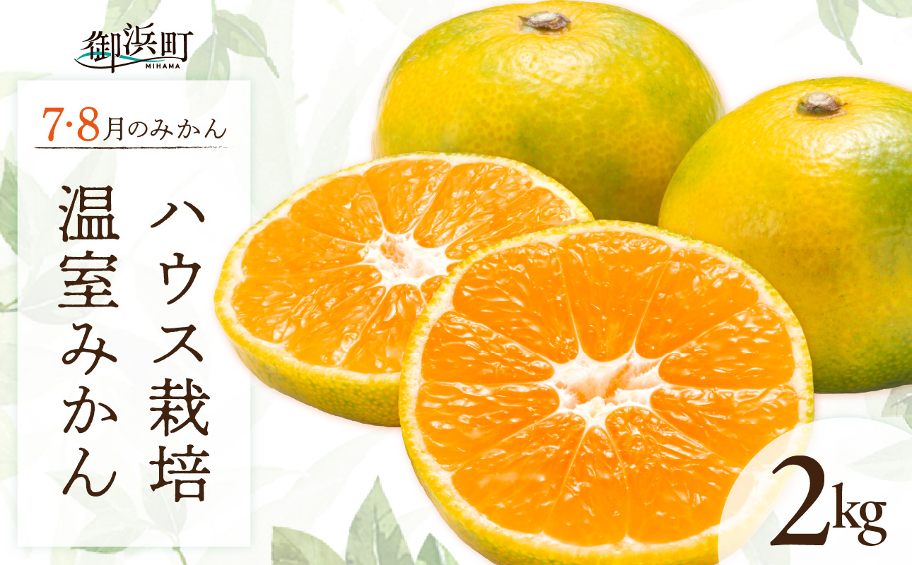 7・8月の御浜柑橘　温室みかん2キロ【先行予約 期間限定 果物 フルーツ みかん 温室みかん 2kg 三重県 御浜町】