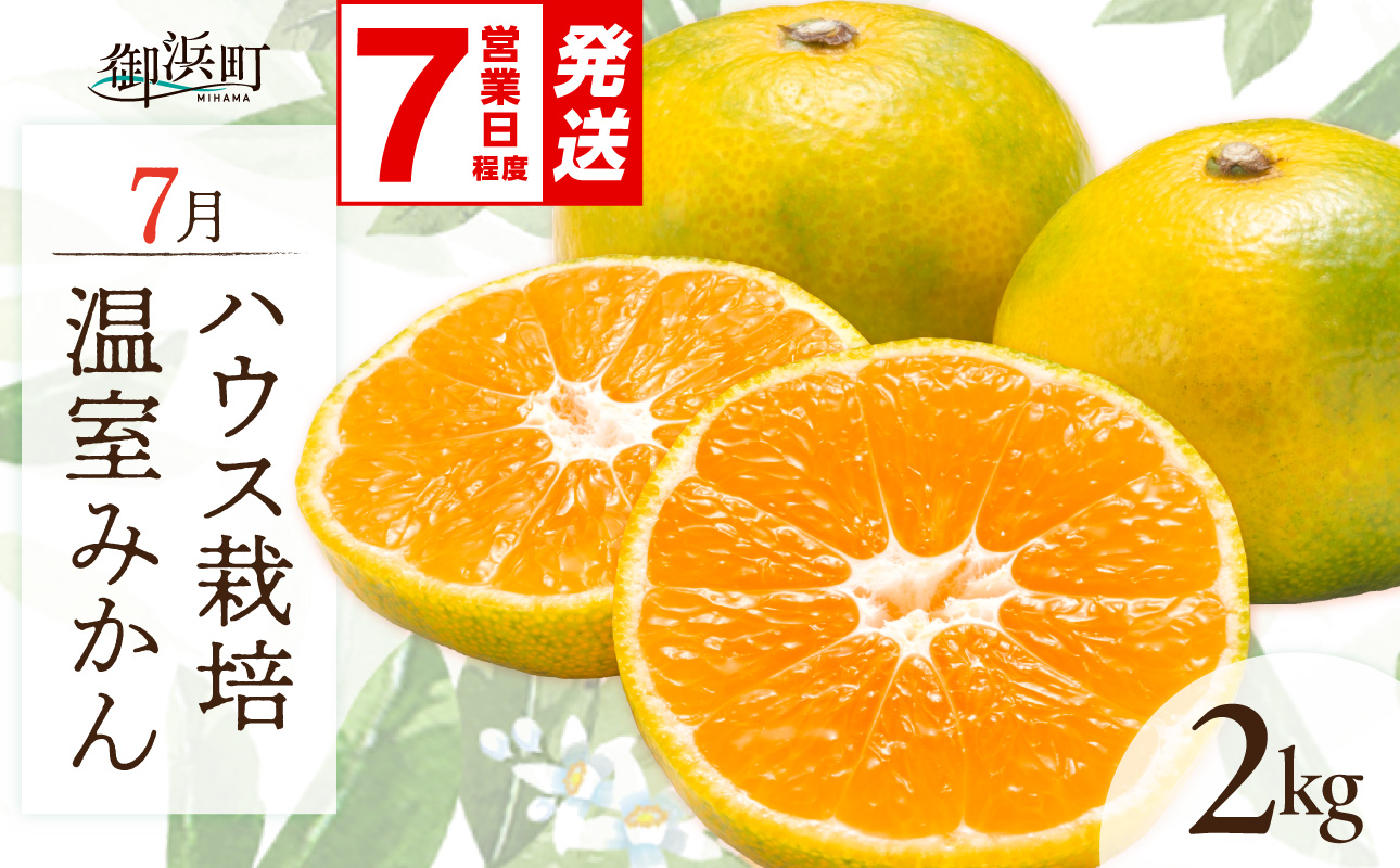 〈 ご入金確認から7営業日程度で発送！ 〉7月の御浜柑橘 温室みかん 2キロ【先行予約 期間限定 果物 フルーツ みかん 温室みかん 2kg 三重県 御浜町】