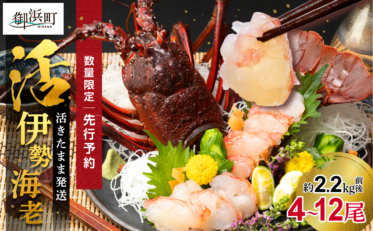 ［日付指定できる！］文恵丸水産の熊野灘産活伊勢海老　大漁コース 4〜12尾 約2.2kg前後【魚介 伊勢海老 伊勢えび 海老 えび 活き 三重県 御浜町】