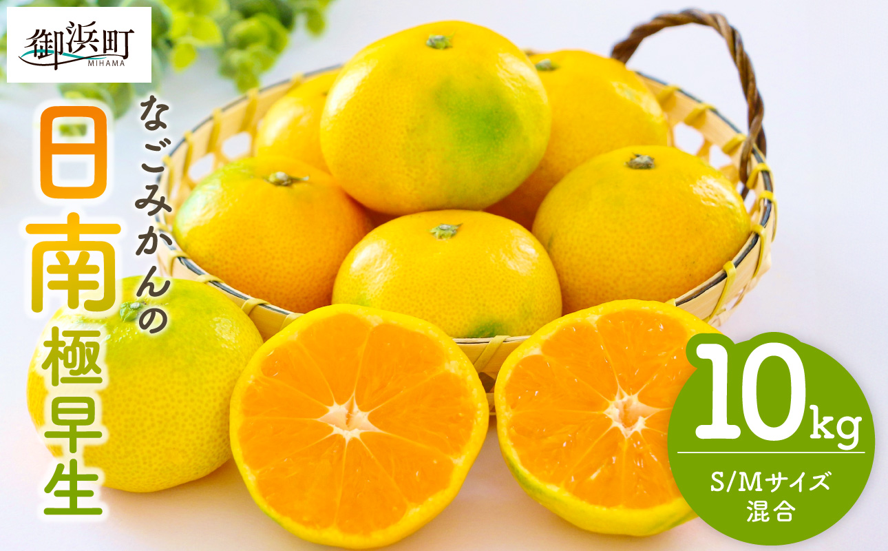なごみかんの日南10キロ【数量限定 果物 フルーツ みかん 極早生みかん 極早生 デザート 10kg 三重県 御浜町】