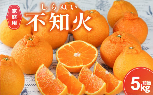 【2027年発送先行予約品】丸安青果の御浜町産不知火5キロ前後(家庭用）【果物 フルーツ みかん 不知火 しらぬい 5kg 前後 家庭用 三重県 御浜町】