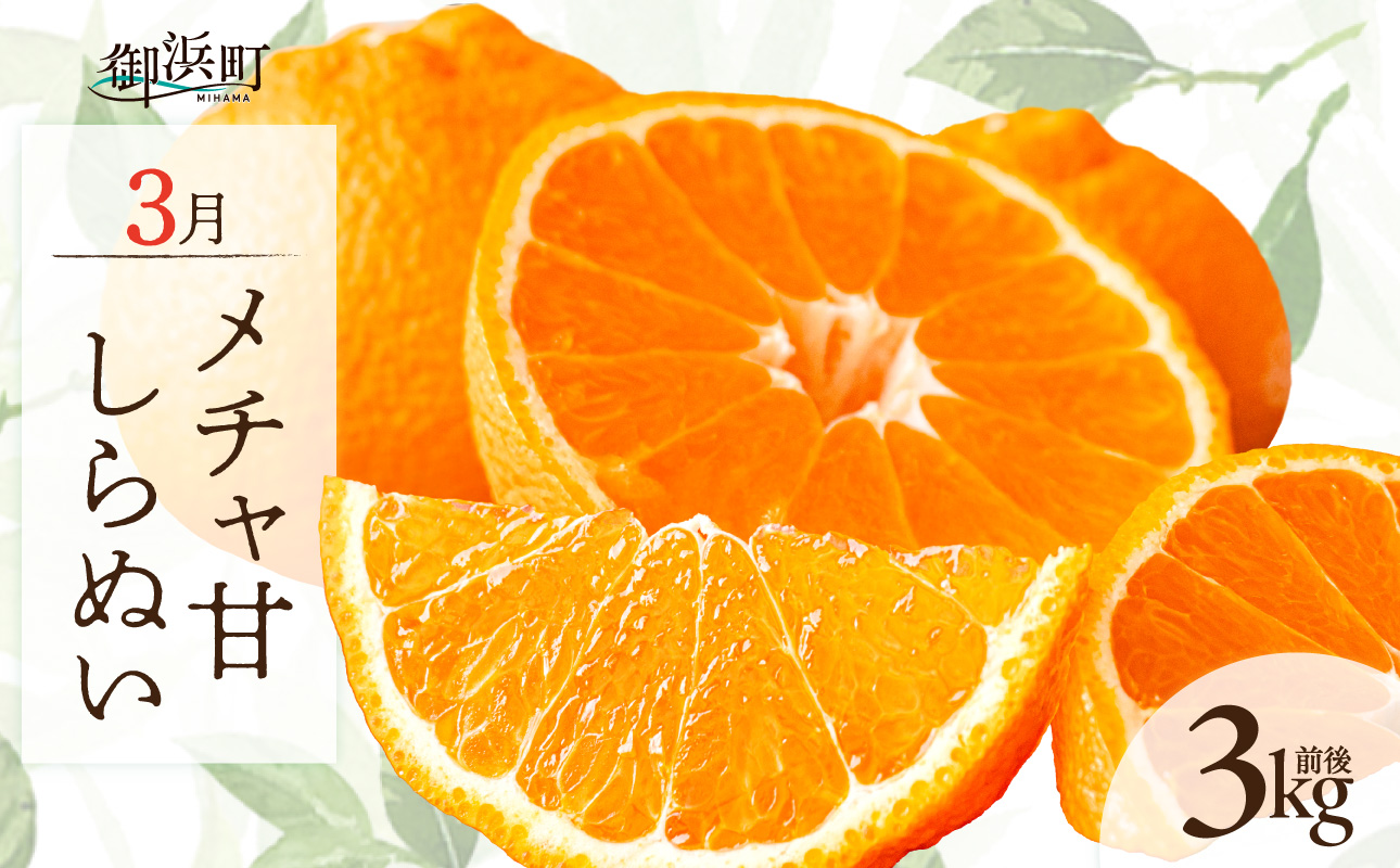 【2027年発送先行予約品】3月の御浜柑橘 メチャ甘しらぬい 3キロ前後【先行予約 期間限定 果物 フルーツ みかん 不知火 しらぬい 3kg前後 三重県 御浜町】