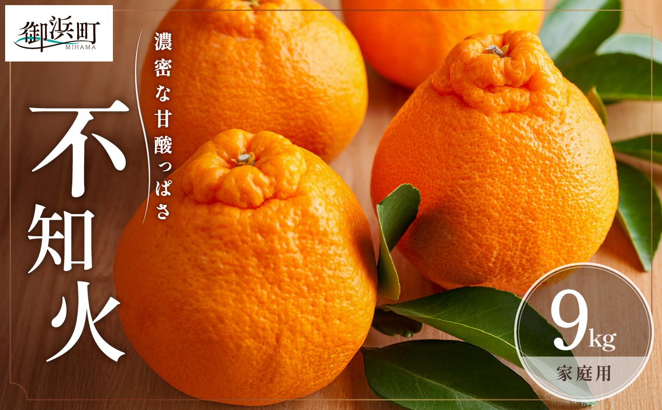 【2027年発送先行予約品】濃密な甘酸っぱさ！ミカファームの不知火9キロ(家庭用) 【数量限定 果物 フルーツ みかん 不知火 しらぬい デザート 9kg 家庭用 三重県 御浜町】