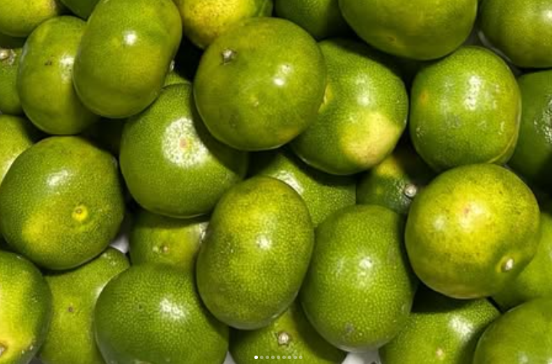 ささのうち農園の 青切り温州みかん5キロ（極早生｜家庭用）【 果物 みかん マルチ栽培 温州みかん 訳あり 家庭用 青切り 極早生 ささのうち農園 三重県 御浜町 】