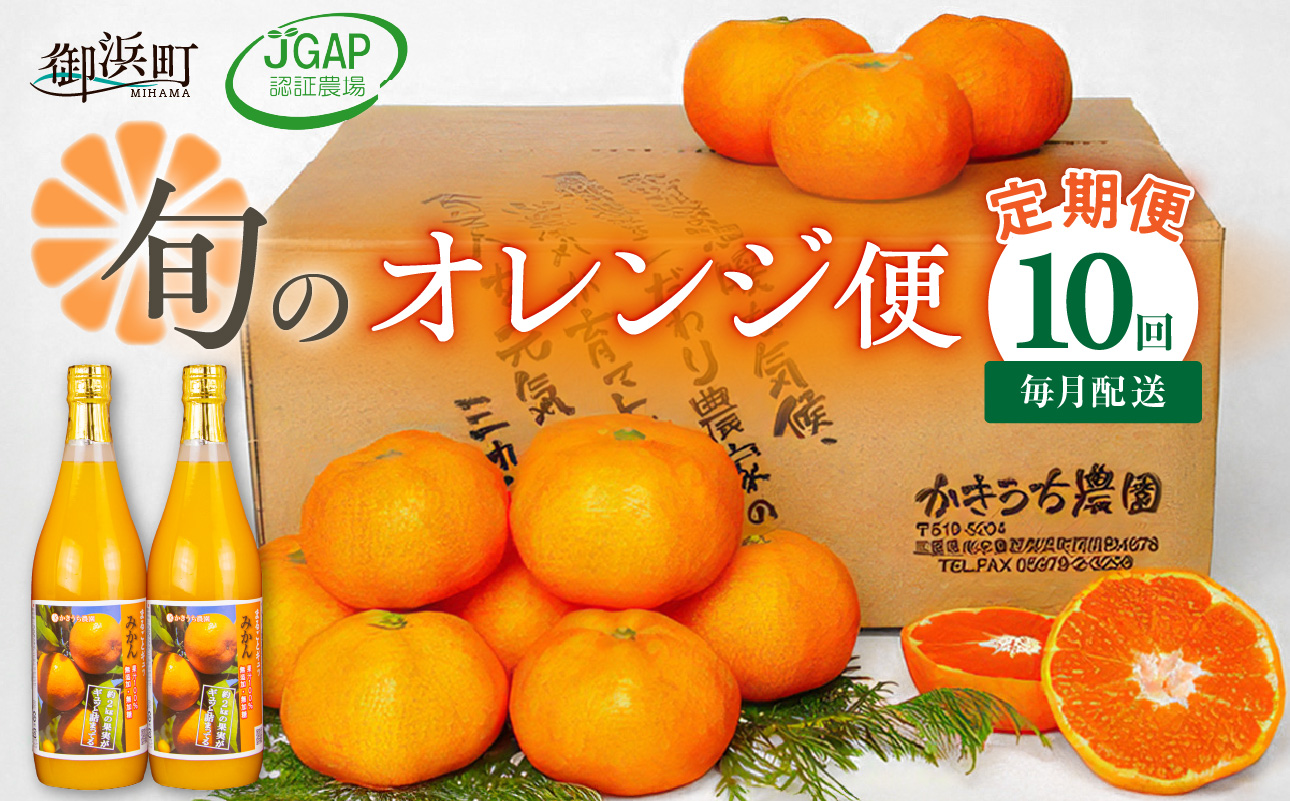 かきうち農園のオレンジ便（全10回）【果物 フルーツ みかん オレンジ デザート 定期便 定期 10回 三重県 御浜町】