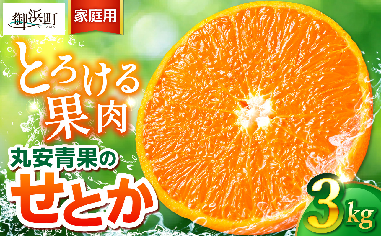 丸安青果のせとか3キロ（家庭用) 【果物 フルーツ 訳あり 家庭用 蜜柑 みかん せとか 3kg 三重県 御浜町】