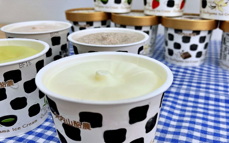 大内山アイスクリーム　120ml×8個 【味をお選びください】／アイス アイスクリーム セット 大内山 スイーツ 詰め合わせ 人気 おすすめ プレゼント