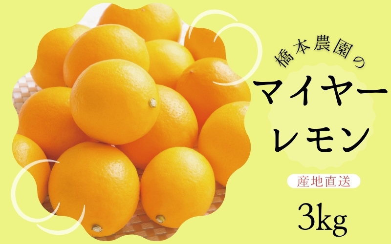 【先行予約】橋本農園のマイヤーレモン 3kg【2024年12月初旬から2025年1月初旬までに順次発送】 / レモン マイヤーレモン 檸檬 先行予約