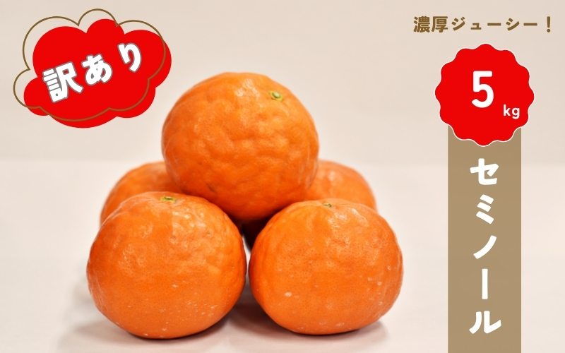 【先行予約】橋本農園の 訳あり セミノール 5kg 【2025年3月中旬から4月中旬に順次発送】 / セミノール 柑橘 フルーツ 果物 くだもの 先行予約 訳あり