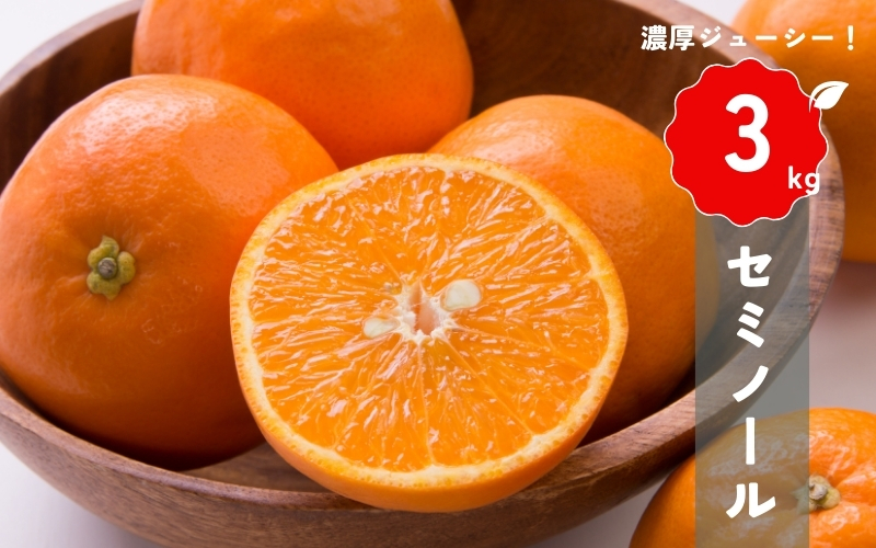 【先行予約】橋本農園の セミノール 3kg 【2025年3月中旬から4月中旬に順次発送】 / セミノール 柑橘 フルーツ 果物 くだもの 先行予約
