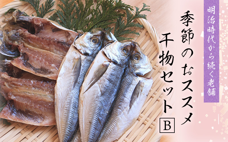 季節のおすすめ干物セットB  三重県紀宝町産 ※季節によって内容が異なります / ひもの 干物 みりん干し 開き 丸干し 詰め合わせ イカ さんま カマス しらす いわし アジ 冷蔵